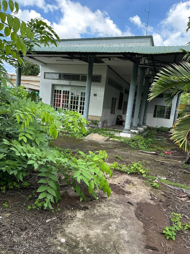 Đất mặt tiền đường 863, Tiền Giang 686m² giá 3.4 tỷ - Tiềm năng kinh doanh lớn!