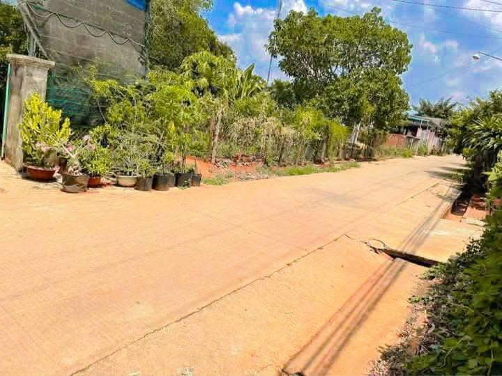 Nhà riêng Cư M'gar Đắk Lắk 171m² giá 1.25 tỷ - Sẵn sàng vào ở ngay!