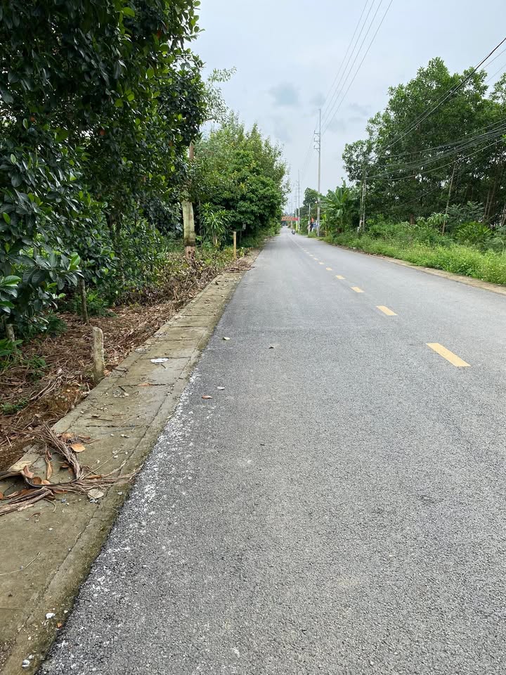 Đất nền thôn Phú Yên, xã Yên Bài 700m² giá 2.1 tỷ - Đầu tư sinh lợi ngay!