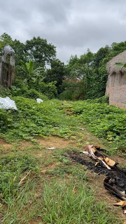 Đất nền Phú Hộ - 245,7m² giá chỉ 1 tỷ - Tiềm năng sinh lời cao!