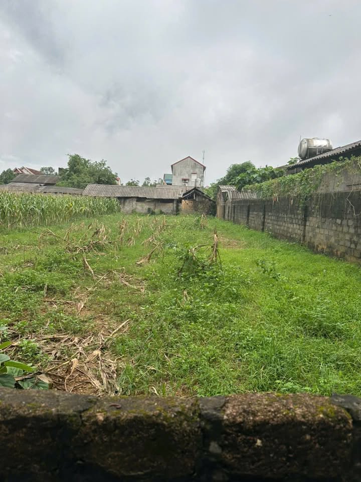 Đất tái định cư 350m² tại xã Tu Vũ, Thanh Thủy, Phú Thọ - Cơ hội đầu tư sinh lời!