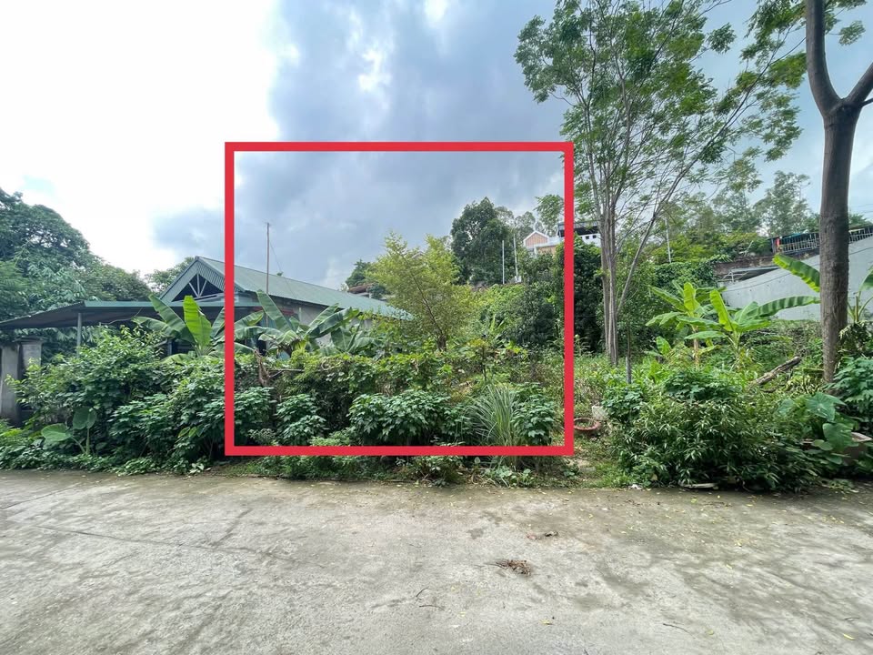 Lô đất Nguyễn Du, P. Dữu Lâu 122m² giá 3 tỷ - Vị trí đắc địa gần trung tâm!