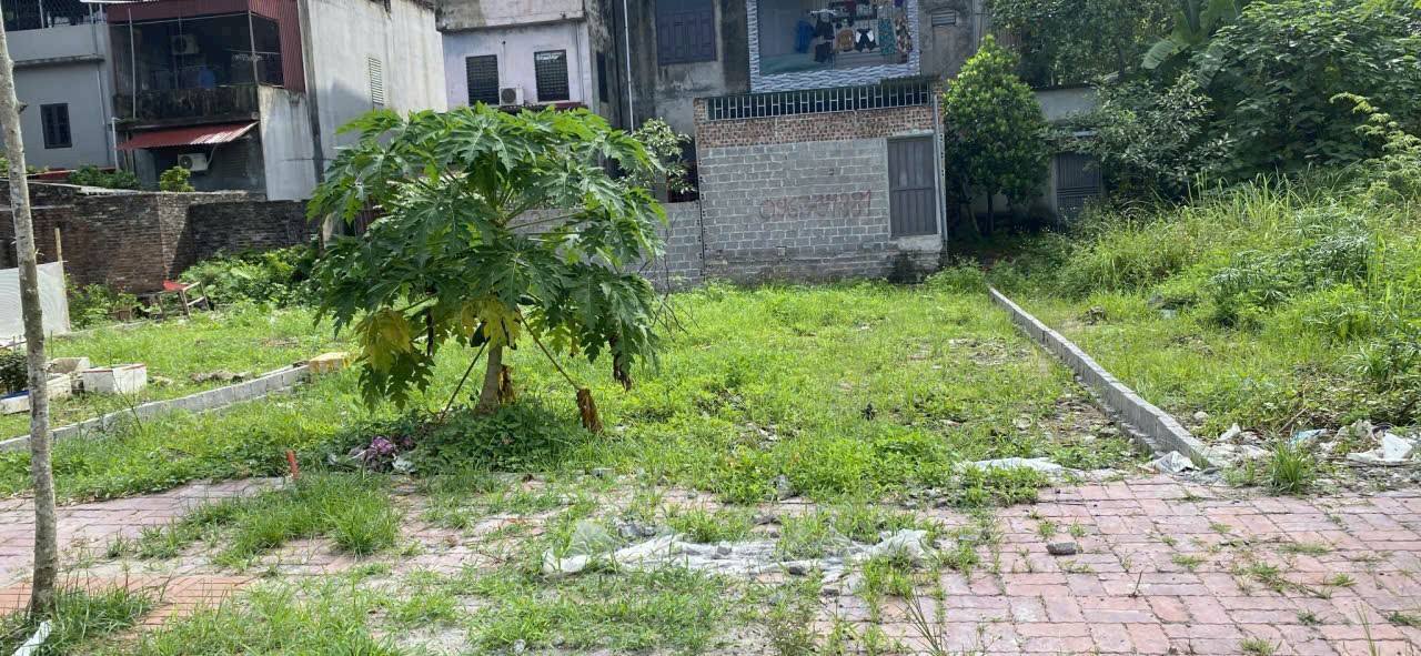 Đất nền Phường Hồng Châu, Hưng Yên 109.2m² giá 3 tỷ - Cơ hội đầu tư tuyệt vời!