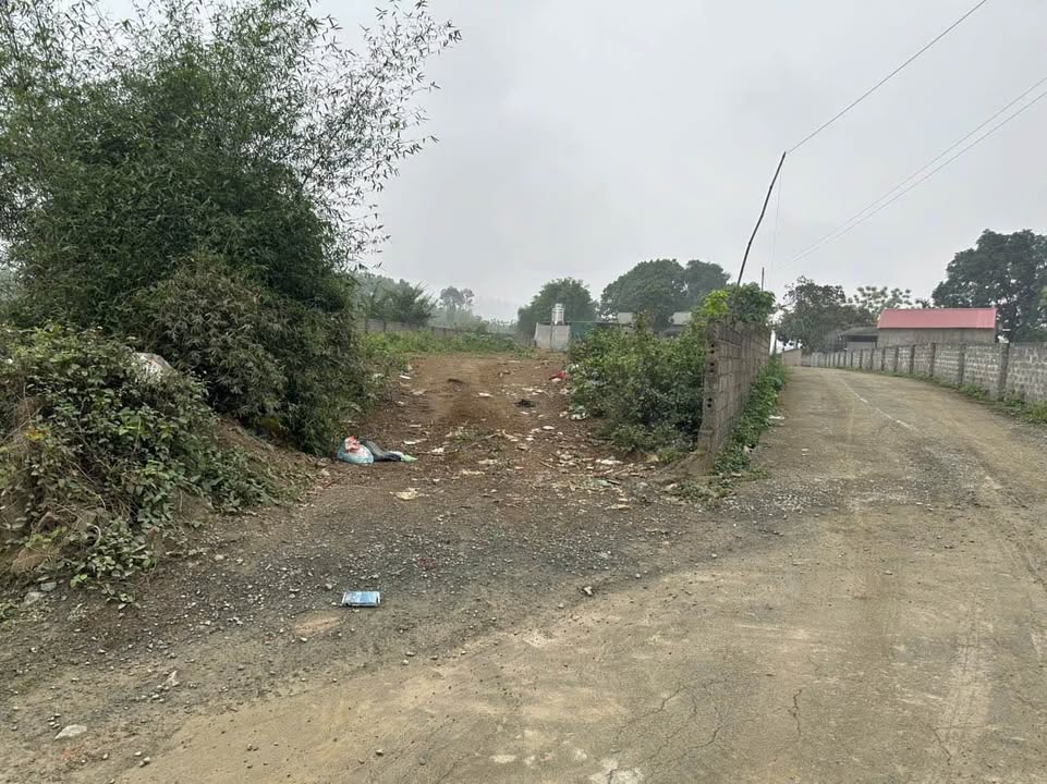 Kho xưởng Bùi Trám Hòa Sơn 1365m² giá 8.19 tỷ - Pháp lý sạch, không quy hoạch!