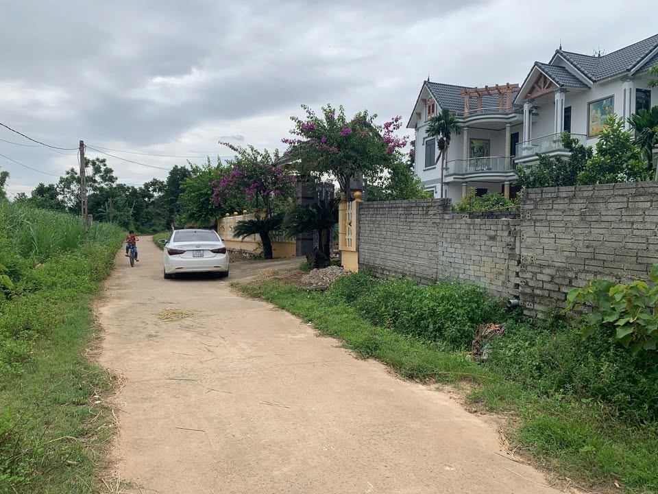 Đất nền đấu giá xã Thuận Minh, Thọ Xuân 240m² - Cơ hội đầu tư hấp dẫn!