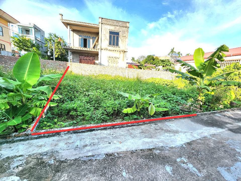 Đất nền Trạm Lộ, Thuận Thành 52m² - Tiềm năng tăng giá hấp dẫn!