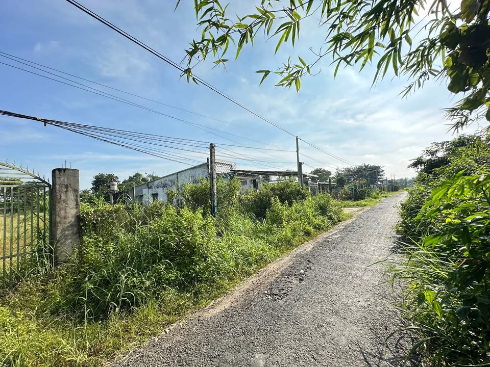 Đất nền Gò Dầu 1850m² giá 2.8 tỷ - Mặt tiền nhựa, gần chợ, trường học!