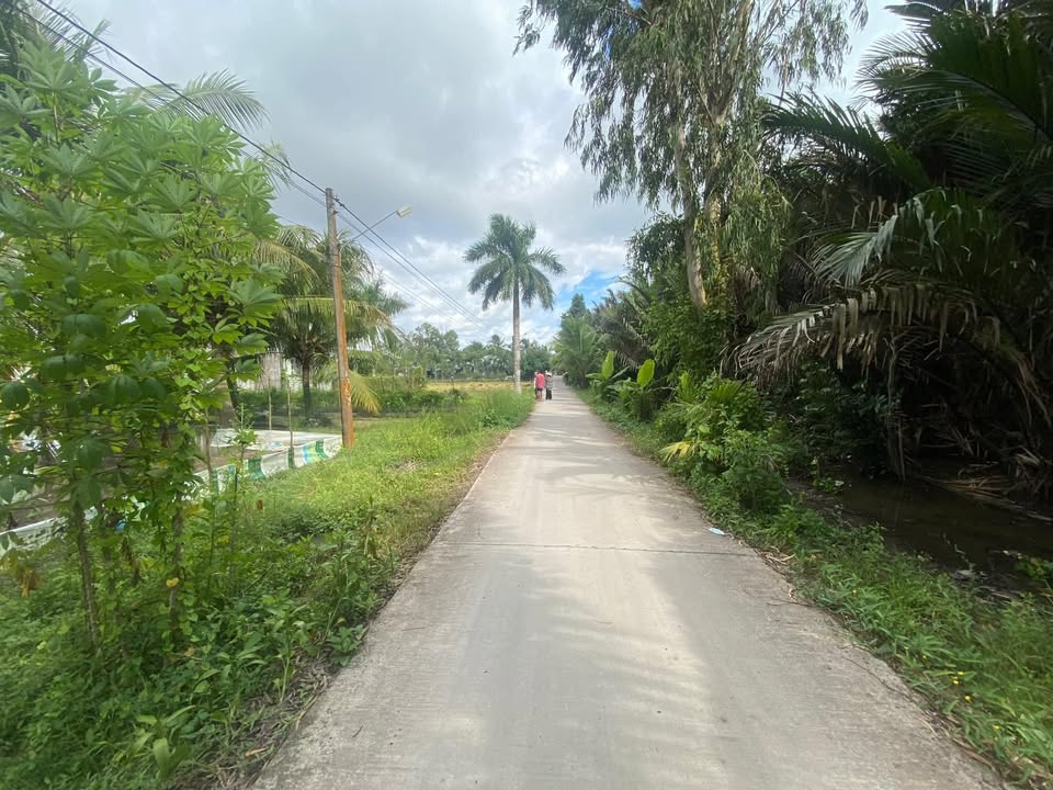 Đất nền Long Thạnh, Vĩnh Lợi, 544m² chỉ 2.755 tỷ - Đầu tư sinh lời tuyệt vời!