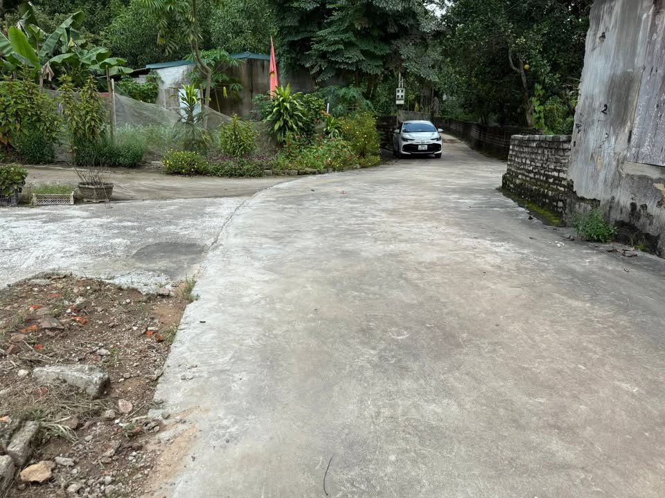 Đất vườn Tam Tiến Yên Thế 690m² giá 700 triệu - Cơ hội hiếm có!