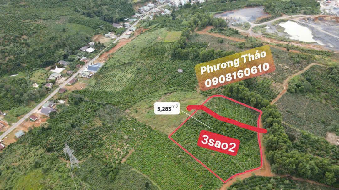 Đất Farm Bảo Lộc 3,2 xào giá 580 triệu - Tiềm năng đầu tư cao!