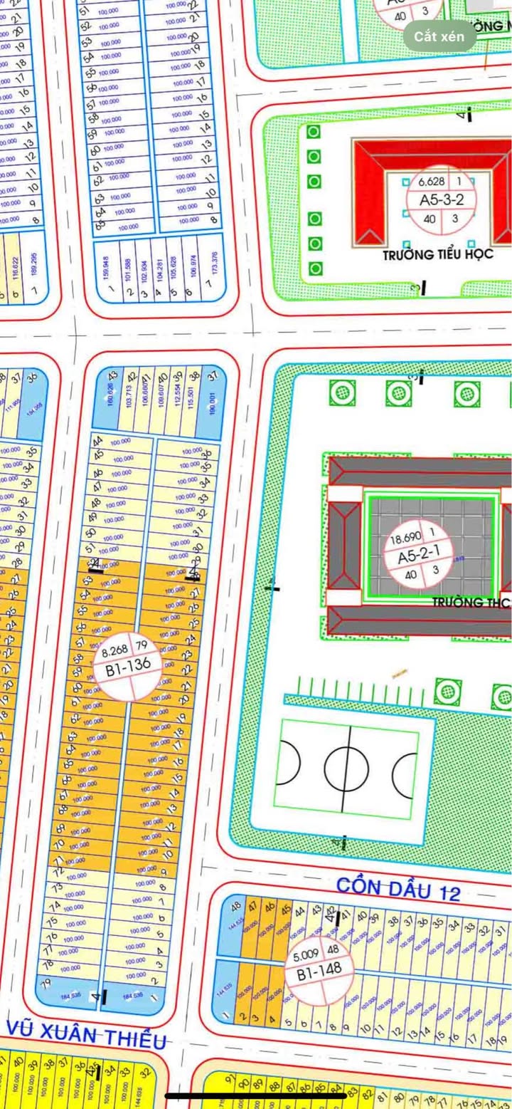 Đất nền Đường Đỗ Quỳ, Quận Cẩm Lệ, 100m² giá 6,7 tỷ - Sổ đỏ chính chủ