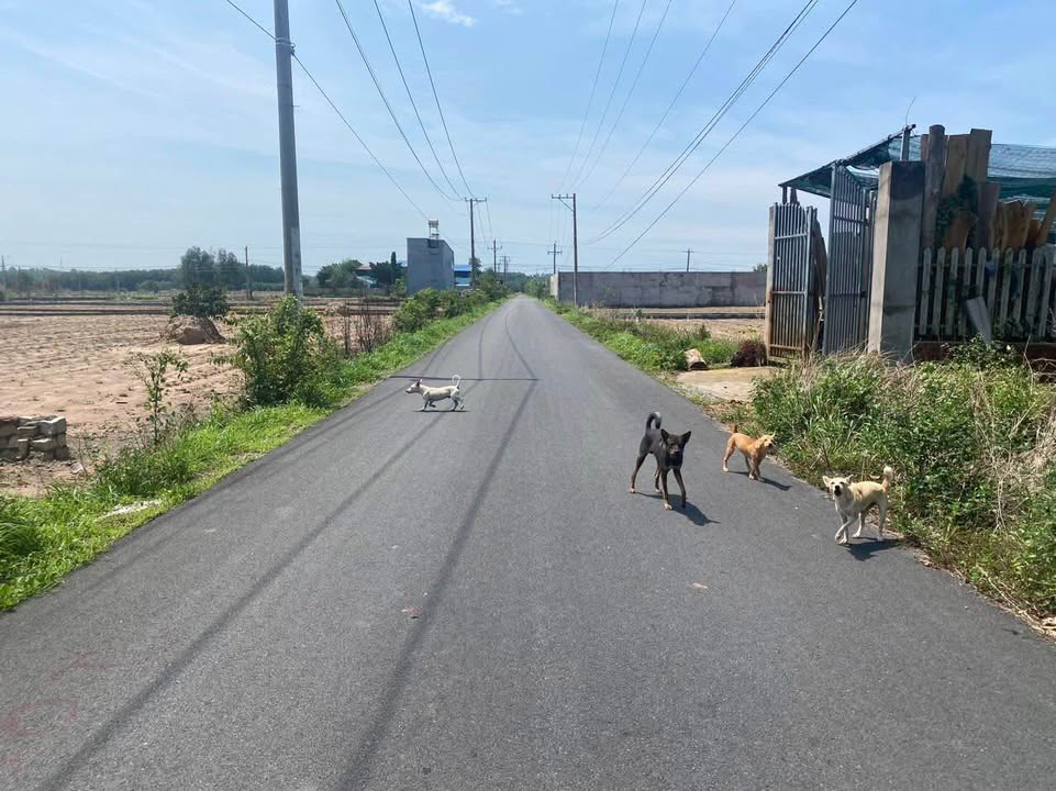 Đất nền Tóc Tiên 520m² giá 2.8 tỷ - Đầu tư sinh lời tuyệt vời!