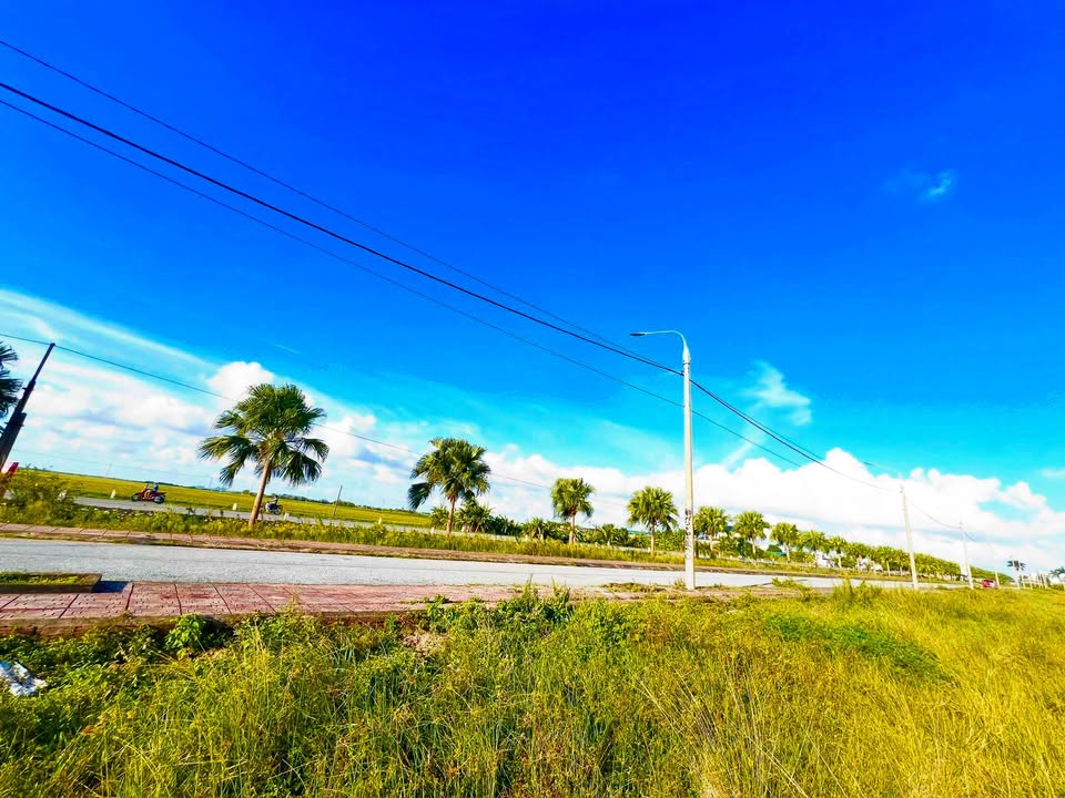 Đất nền Đông Lâm - Tiền Hải 125m² giá từ 1.6 tỷ - Cơ hội đầu tư hấp dẫn!