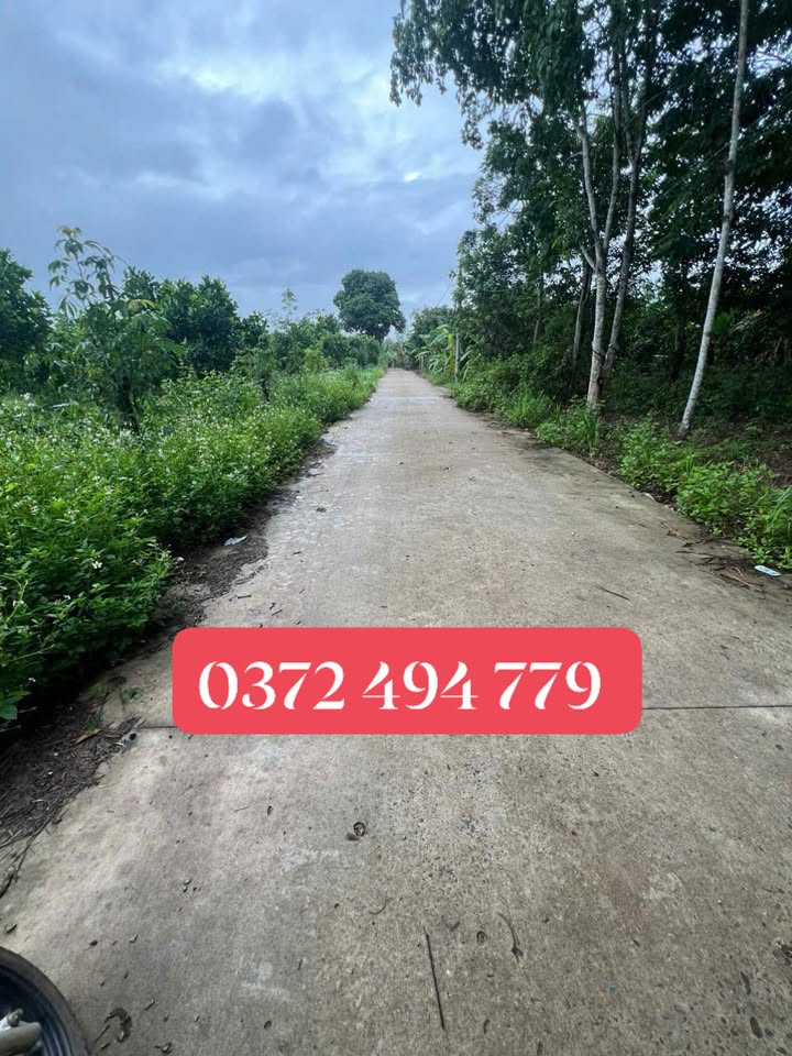 Đất Farm Suối Nho 10.000m² giá chỉ 2.3 tỷ - Cơ hội đầu tư hiếm có!