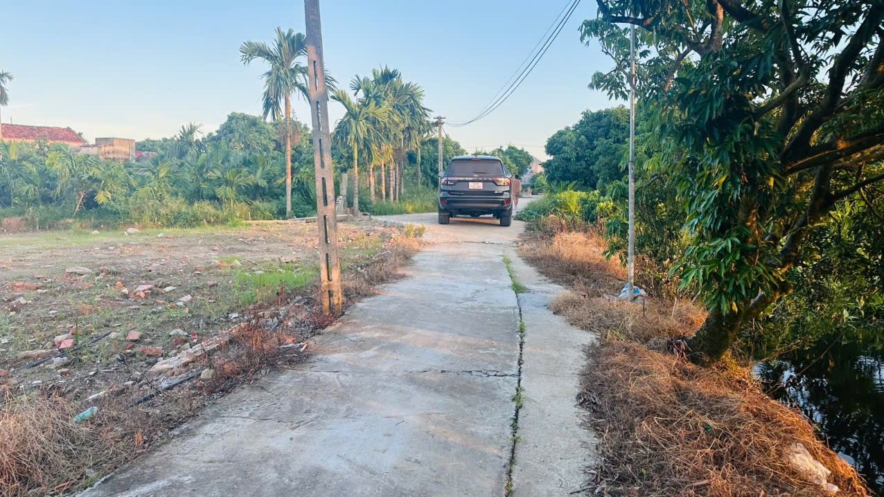 Đất nền thổ cư Hoàng Cát, Tiên Tiến, 60m² chỉ 600 triệu - Đầu tư sinh lời ngay!