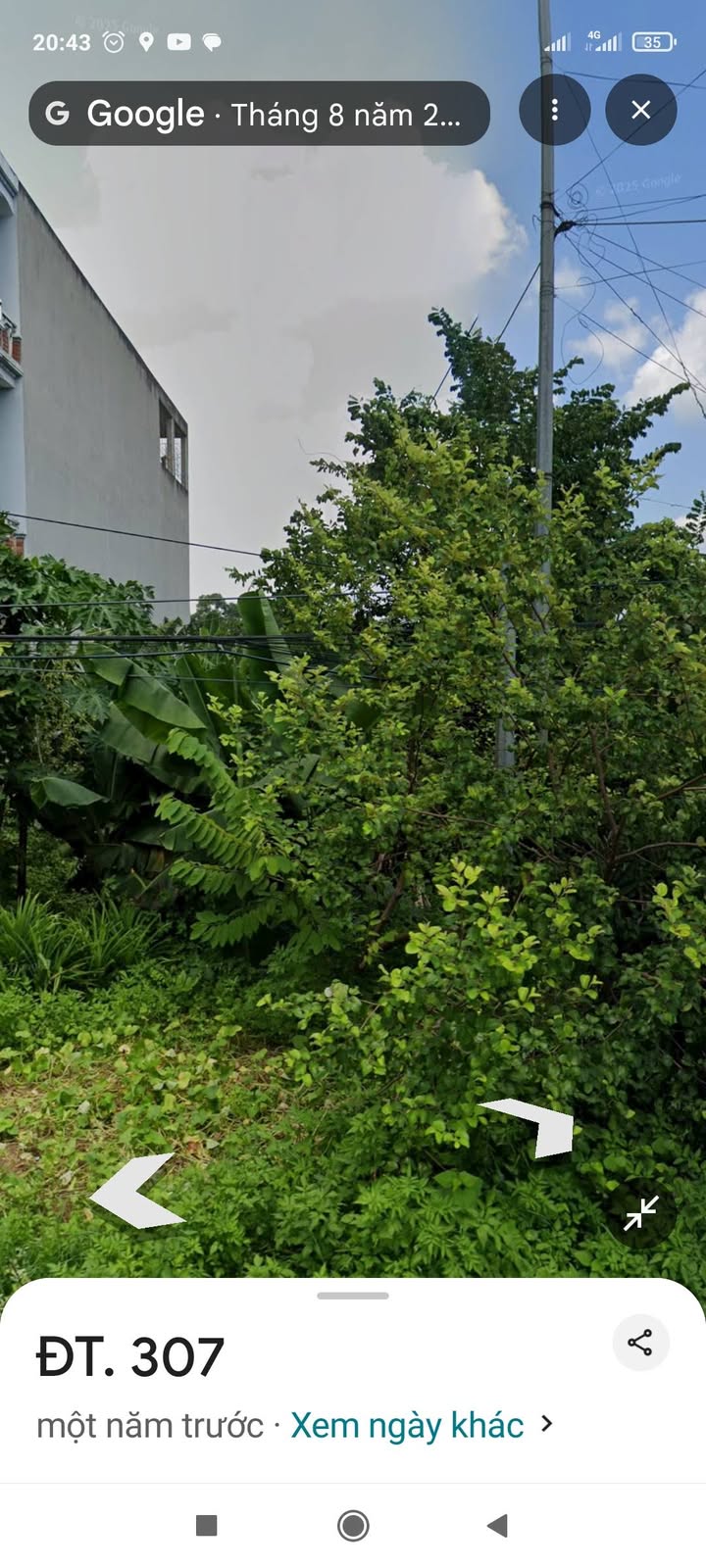 Đất nền xã Tam Sơn, huyện Sông Lô, 100m² giá 1.5 tỷ - Kinh doanh sầm uất!