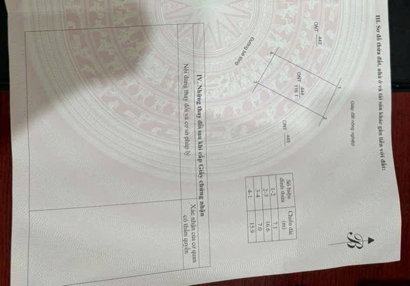 Đất chính chủ tại Làng Đồng Giành, Ngọc Lặc 116m² - Giá chỉ 450 triệu, cơ hội đầu tư hấp dẫn!