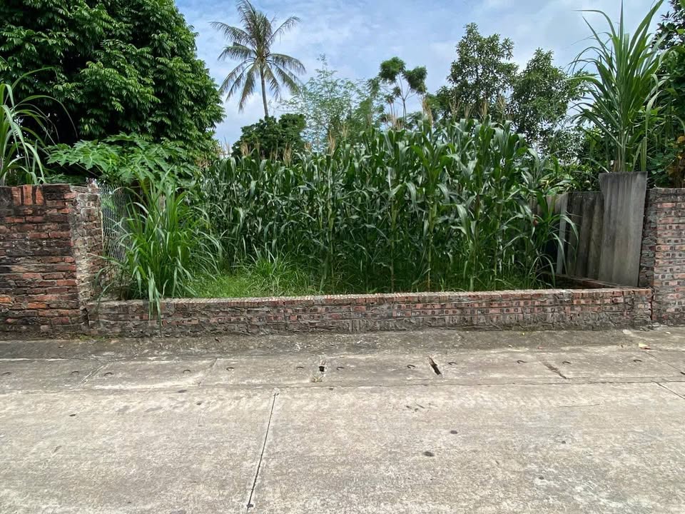 Đất thổ cư Minh Trí, Sóc Sơn 188m² - Cơ hội đầu tư vàng!