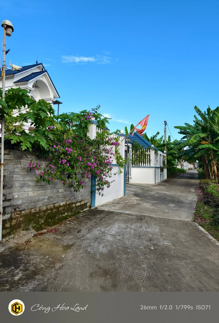 Đất nền TDP Phùng Dị, phường Đào Viên, 656m² giá 5.248 tỷ - Đầu tư sinh lời tuyệt vời!