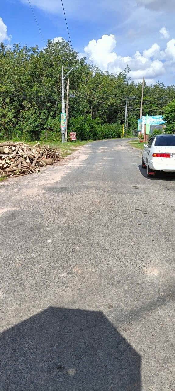 Đất nền Ninh Thành, Ninh Sơn, Tây Ninh 510m² giá 300 triệu - Cơ hội đầu tư siêu hấp dẫn!