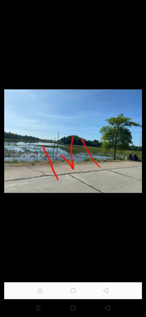 Bán đất Gia Lâm Ninh Bình 80m² - Mặt tiền đường 479, giá thỏa thuận!