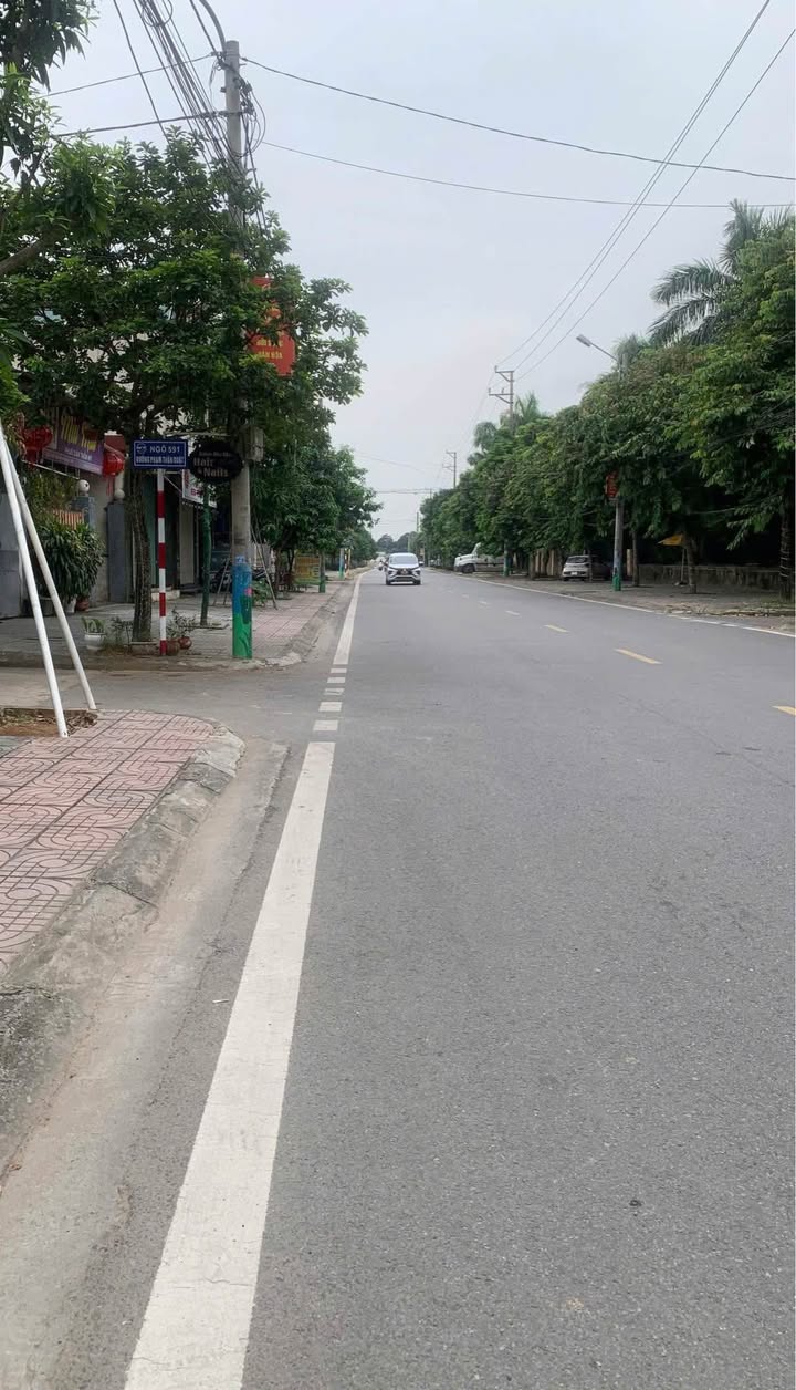 Đất nền ngõ 591 Phạm Thận Duật, Nam Hoa Lư 59,1m² - Vị trí trung tâm, tiện ích đầy đủ!