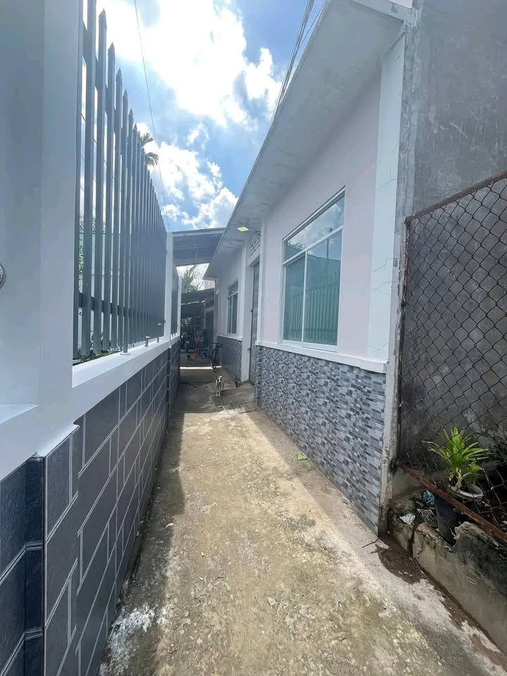 Nhà cấp 4 cho thuê tại Phường 8, Bến Tre - Diện tích 56.7m² chỉ 2.5 triệu/tháng!