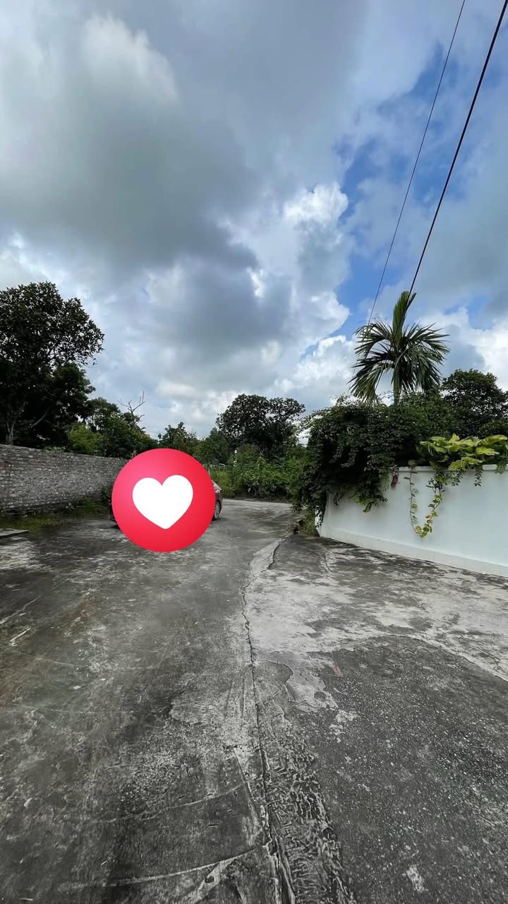 Đất nền Mạo Khê Đông Triều 130m² giá 600 triệu - Đường ô tô vào tận sân!