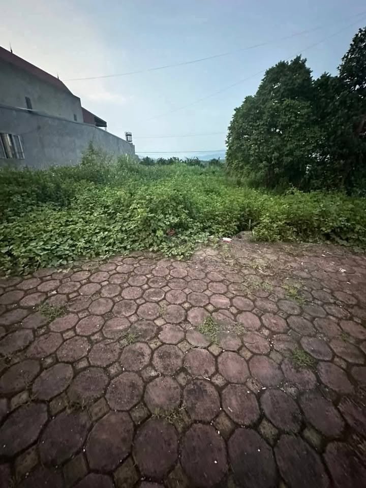 Đất nền Chí Linh Hải Dương 90m² mặt tiền 4.5m - Đầu tư sinh lời ngay!