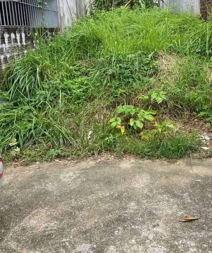 Đất nền tổ 10, phường An Tường 134m² - Hướng Đông Nam, giá chỉ từ 8xx triệu!