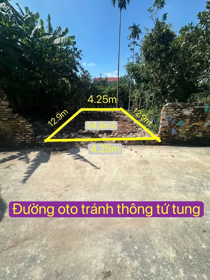 Đất nền Thượng Mỗ Đan Phượng 54.8m² - Giá rẻ nhất khu, cơ hội đầu tư tuyệt vời!