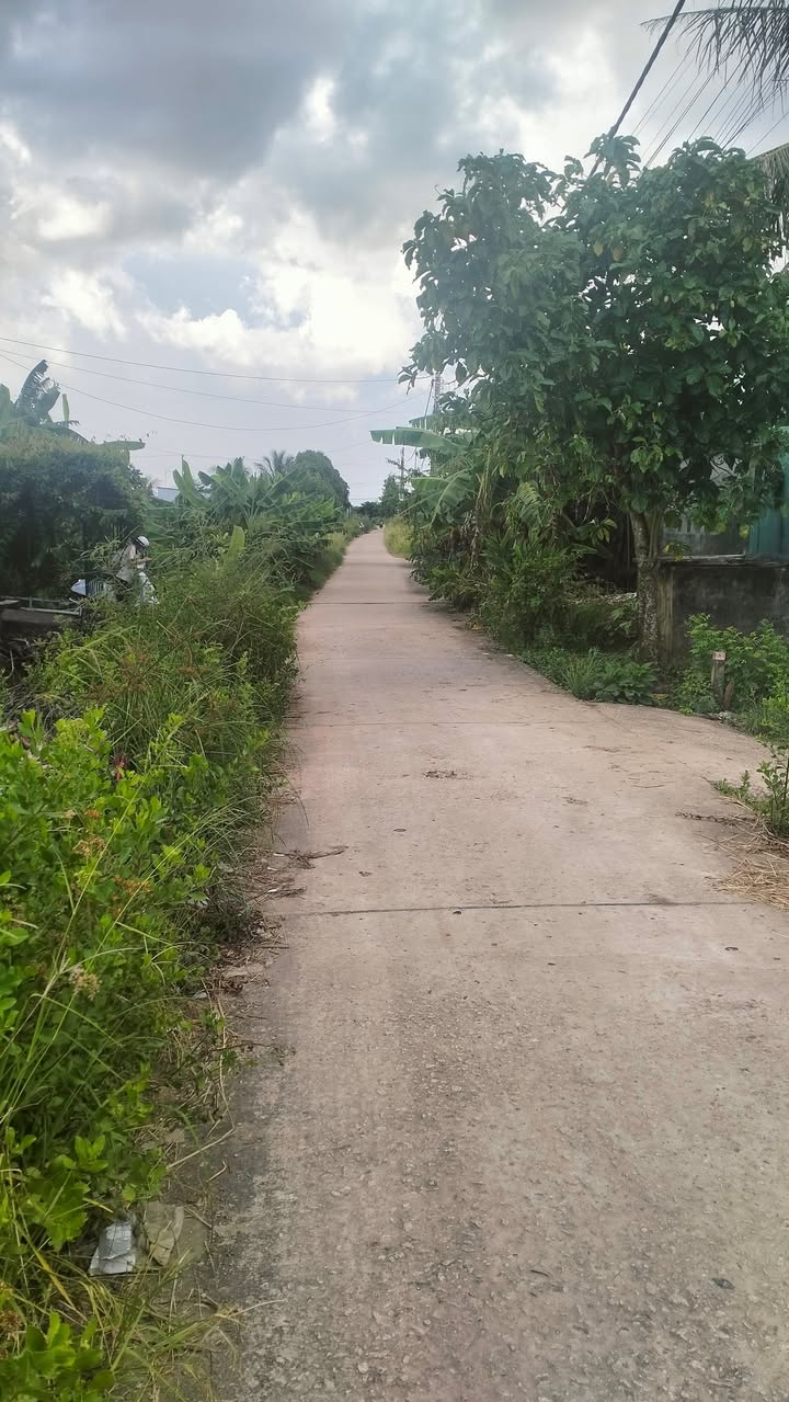 Đất nền Hiệp Thành Bạc Liêu 118.5m² giá 260 triệu - Sổ đỏ chính chủ, thương lượng ngay!