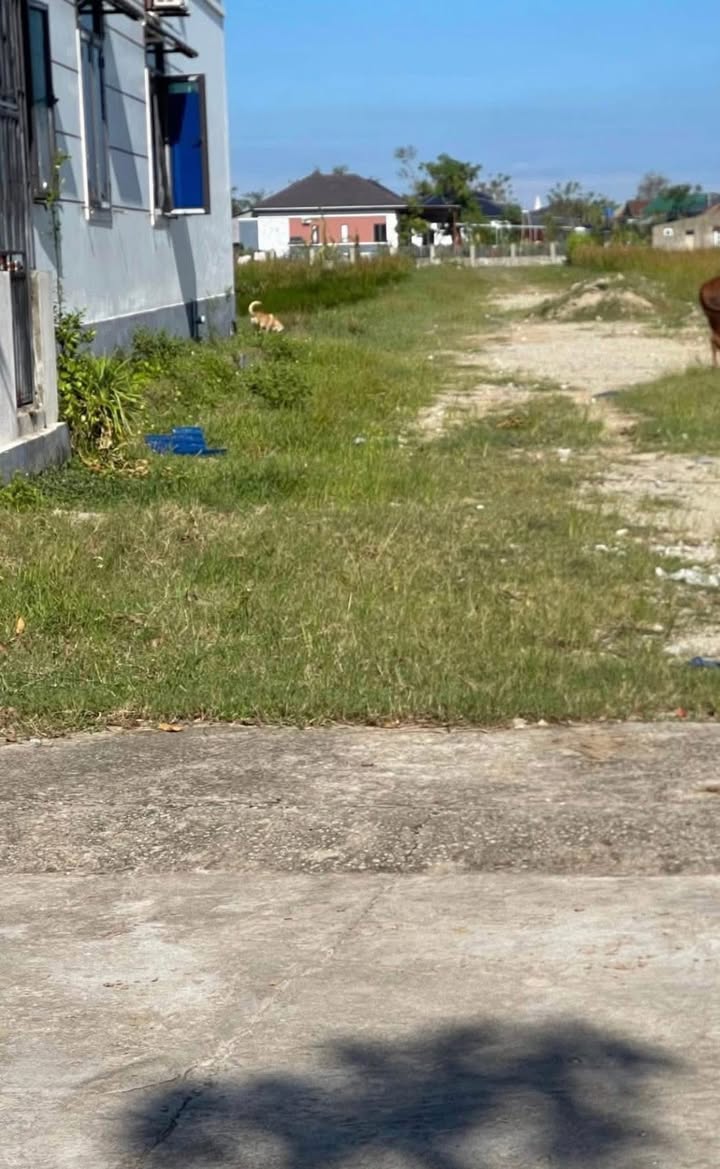 Đất nền Hộ Độ Lộc Hà 200m² - Cơ hội đầu tư không thể bỏ lỡ!