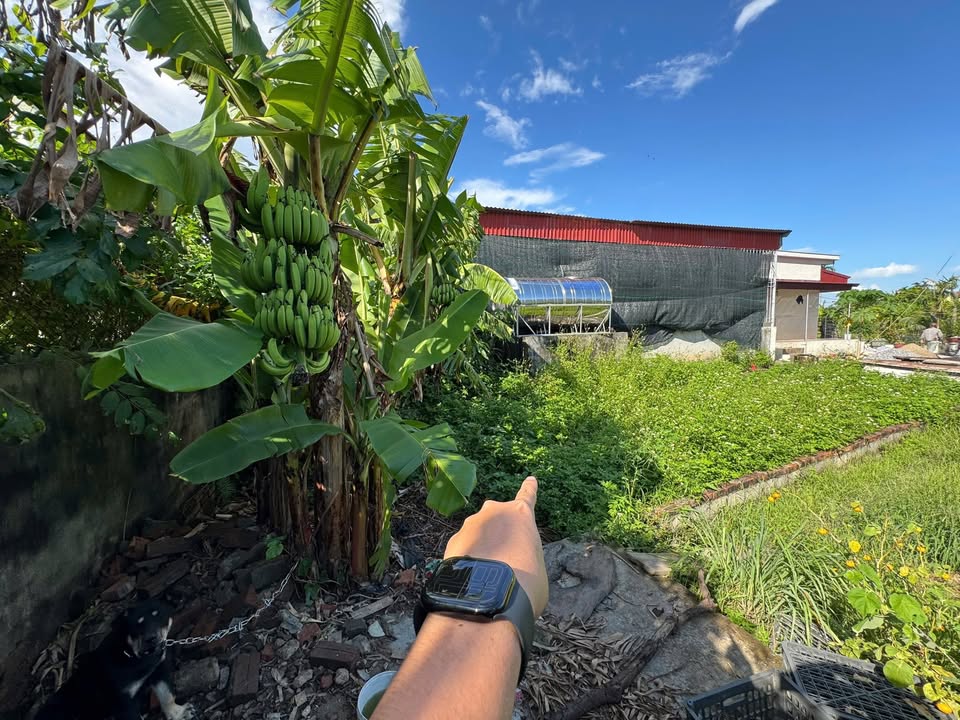 Lô đất chính chủ tổ 10 Hòa Nghĩa, Dương Kinh, Hải Phòng 65,3m² - Cơ hội đầu tư vàng!