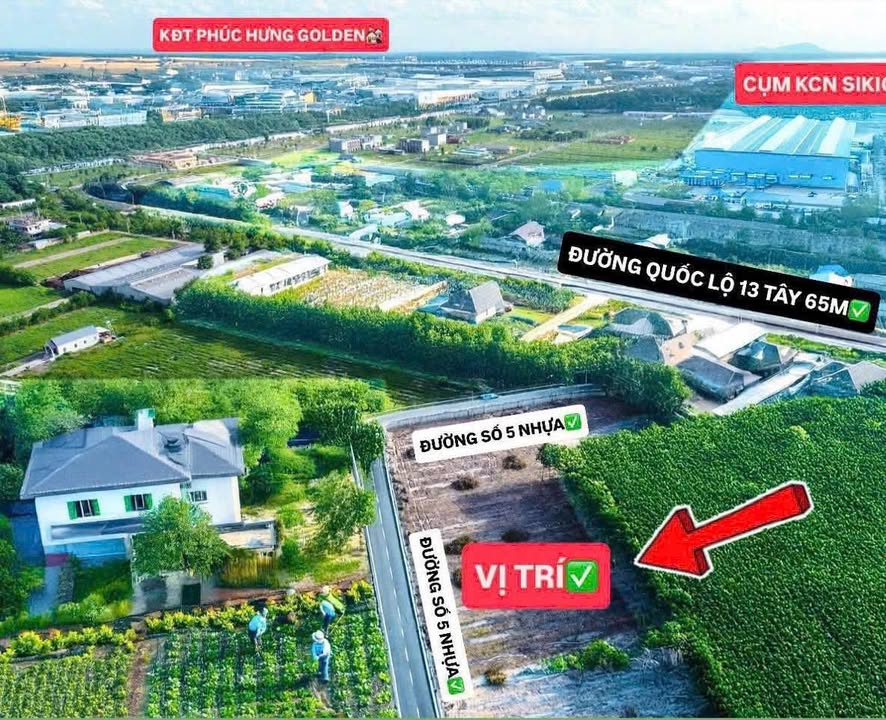 Đất nền chính chủ tại Chơn Thành, Bình Phước - Diện tích 210m² chỉ 275 triệu!