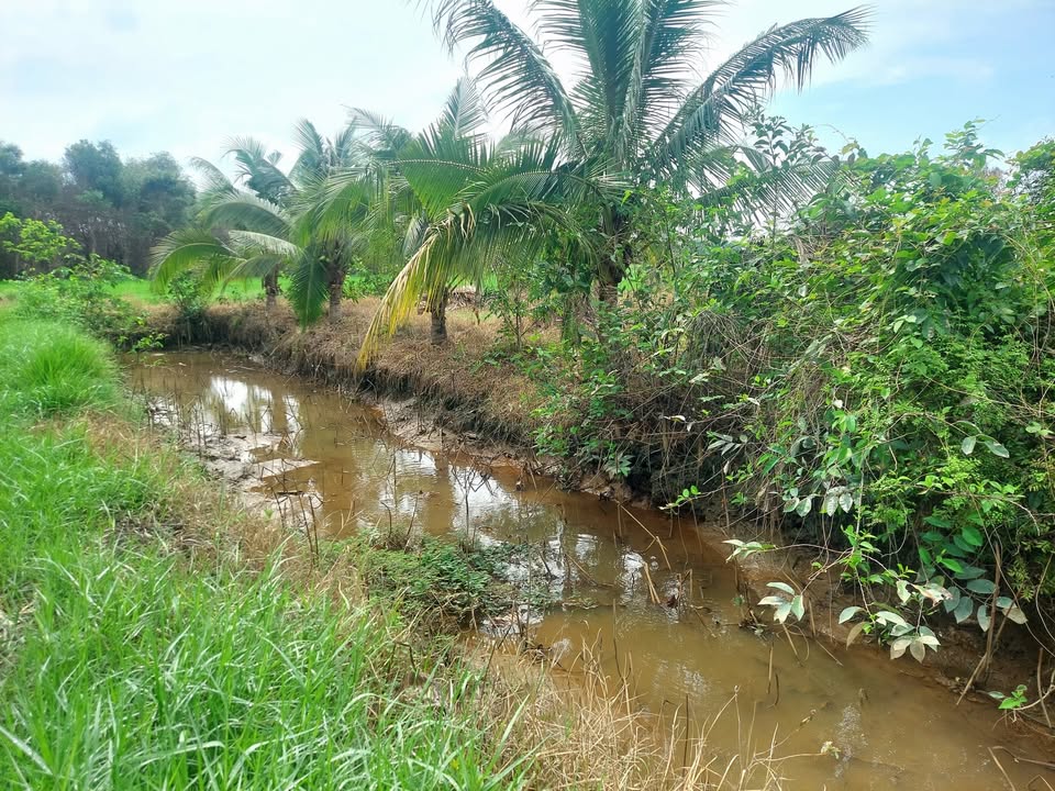 Đất vườn 313m² Thái Mỹ, Củ Chi giá 850 triệu - Sổ hồng chính chủ