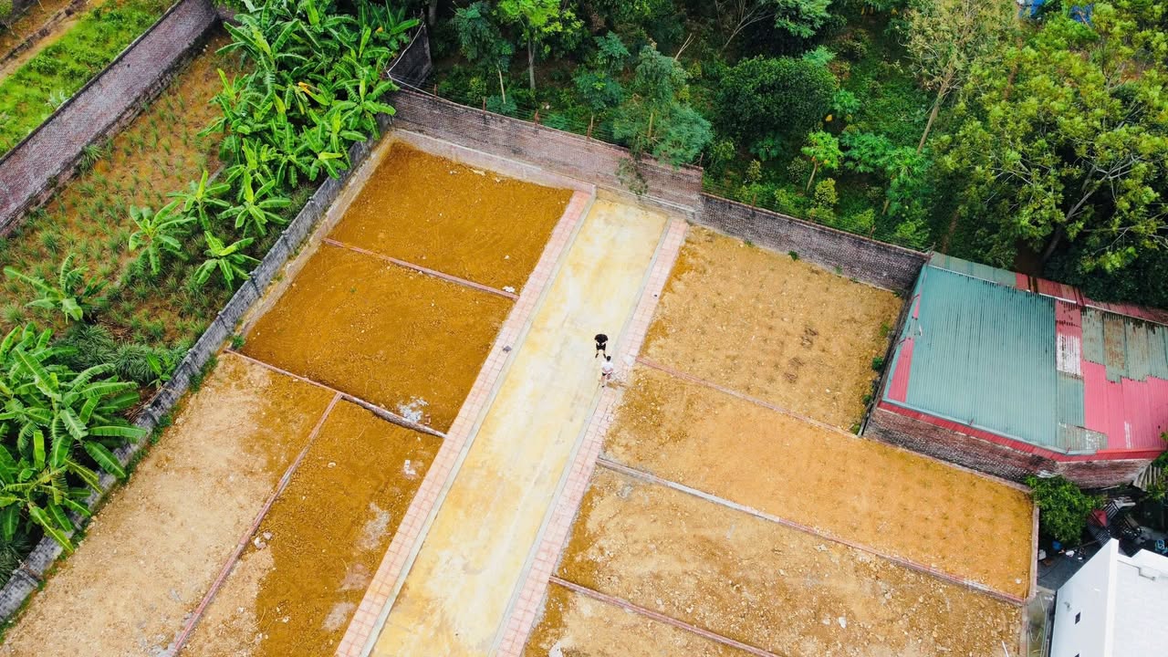 Đất nền thổ cư 100m² tại xã Phú Cát, Quốc Oai - Giá chỉ 1.75 tỷ!