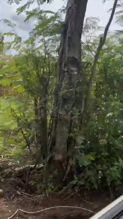 Đất nền Ea Blang, Buôn Hồ 1,1ha giá chỉ 1,5 tỷ - Cơ hội đầu tư vàng!