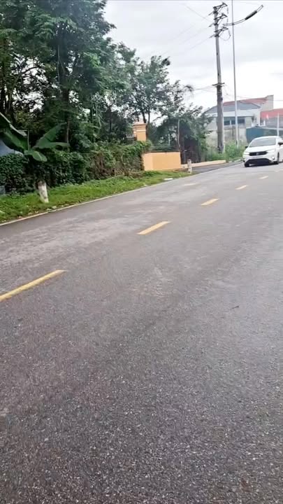 Bán đất rừng Nhạo Sơn, Sông Lô 1000m² - Tiềm năng đầu tư vượt trội!