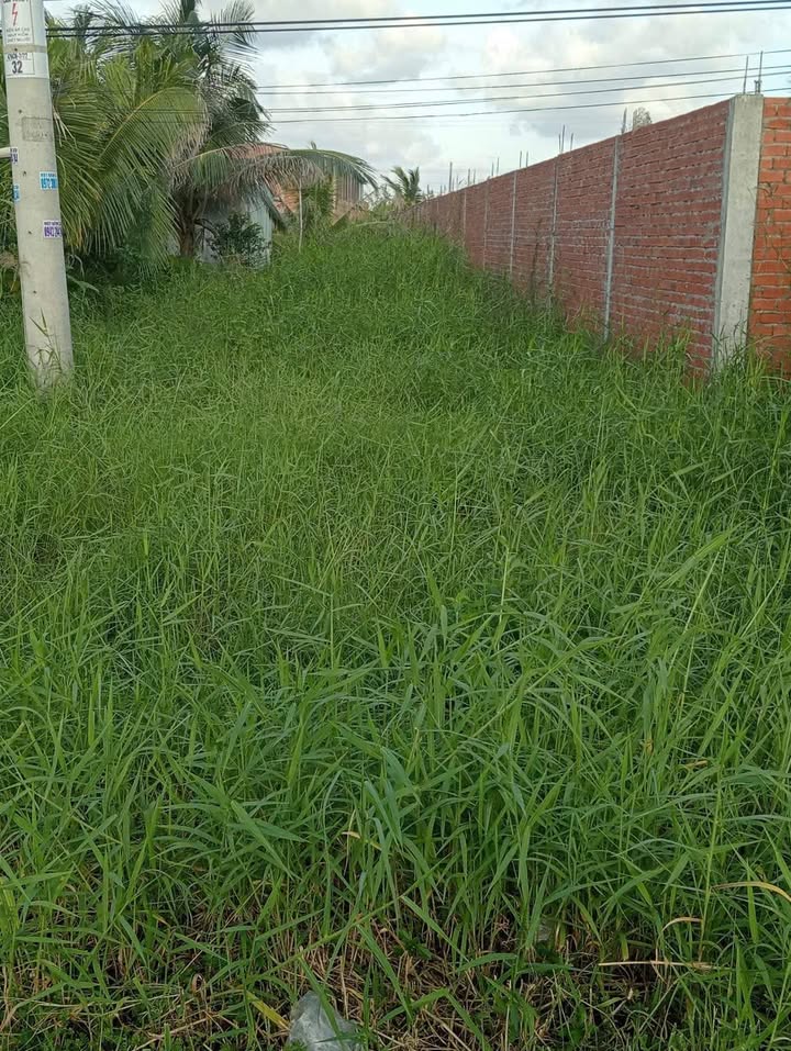 Đất thổ cư 327.6m² đường Hoàng Ân, huyện Cái Nước giá 10.368 tỷ - Pháp lý rõ ràng