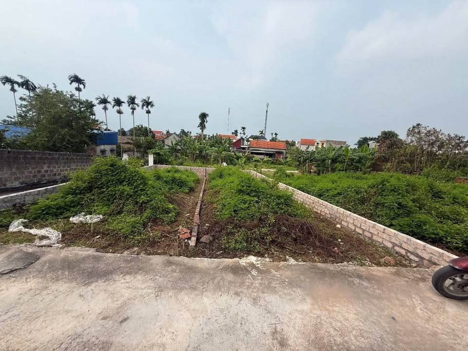 Đất dự án Vlasta 71m² phường Hòa Bình giá 1.5 tỷ - Pháp lý rõ ràng, chính chủ!