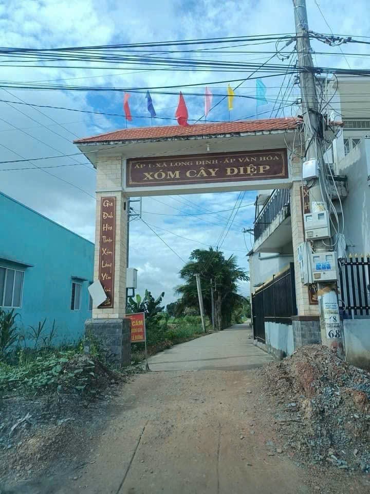 Đất nền thổ cư 166m² tại Long Định, Cần Đước - Giá 890 triệu, bớt lộc!