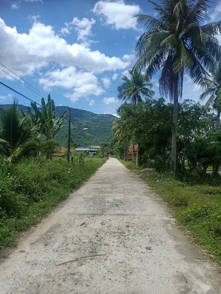 Đất trồng cây hàng năm thôn Xuân Trang 463m² giá 450 triệu - Gần công viên và chợ