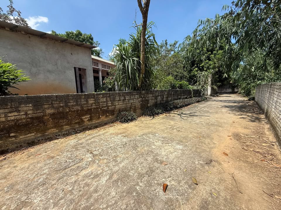 Đất nền Lập Thạch 944m² giá 2.45 tỷ - Cơ hội đầu tư hấp dẫn!