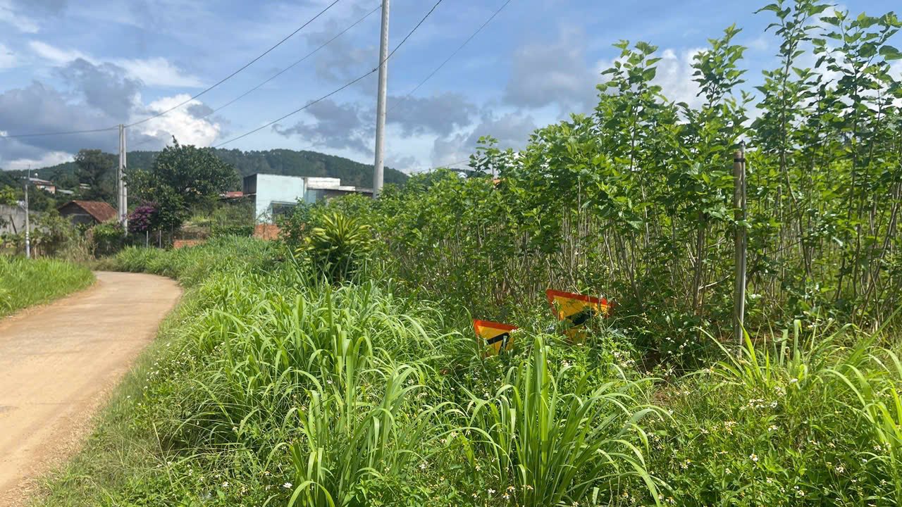 Đất thổ cư Gia Lâm Lâm Hà 2392m² giá chỉ 4 tỷ - Cơ hội đầu tư tuyệt vời!