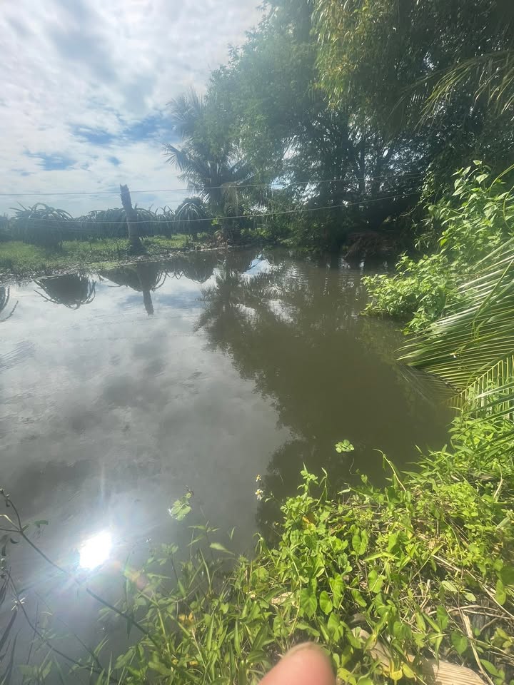 Đất thổ cư 3600m² tại Bình Thuận giá 2.2 tỷ - Sổ hồng riêng, cơ hội đầu tư tuyệt vời!