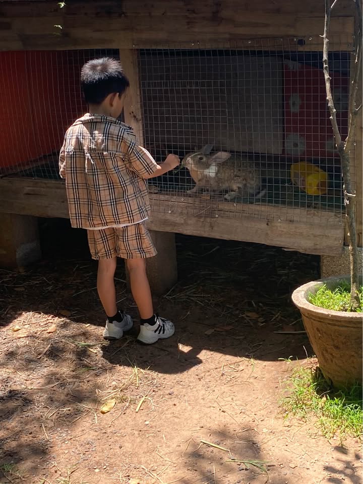 Đất nền Phú Trinh 400m² - Gần trục chính Nguyễn Hội - Lê Duẫn, Giá Thỏa Thuận!