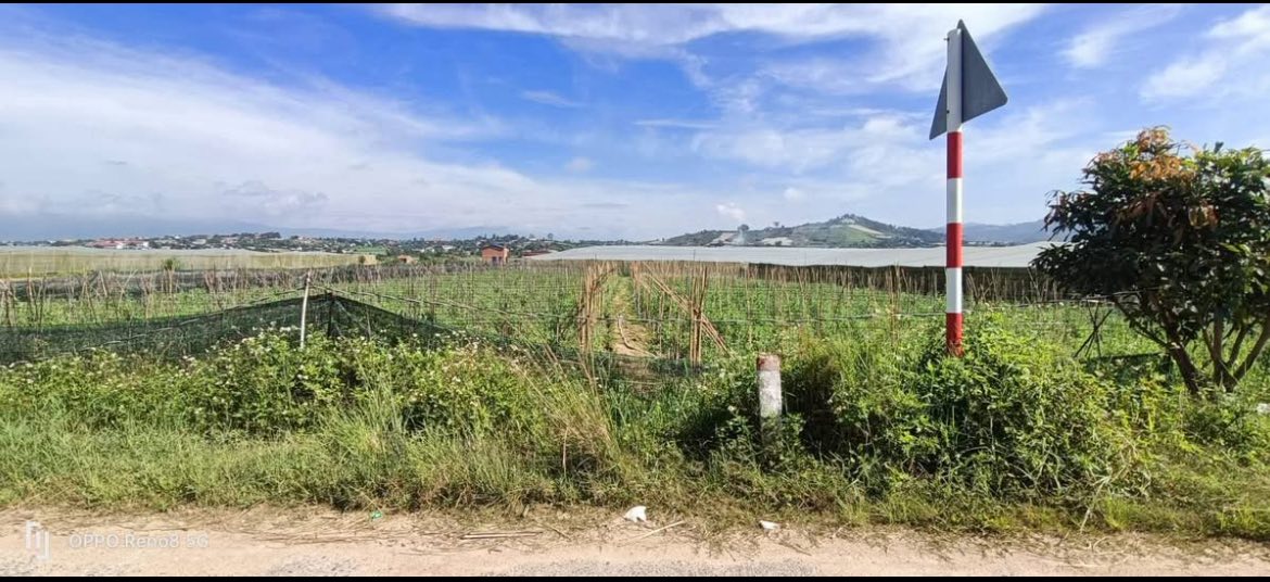 Lô đất 3 sào tại Quảng Lập, Lâm Đồng giá 1.69 tỷ - Tiềm năng đầu tư vượt trội!