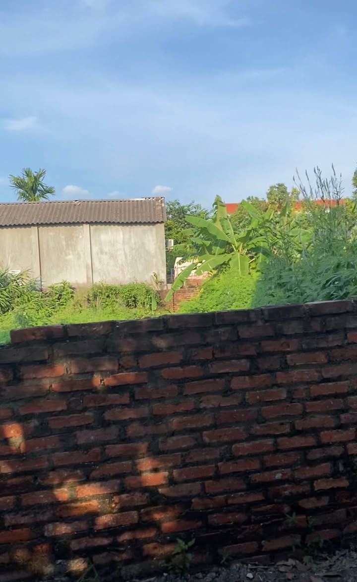 Đất phân lô Minh Phú, Sóc Sơn 256m² giá chỉ 1x triệu/m² - Đầu tư sinh lời ngay!