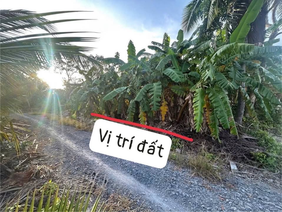 Đất thổ cư 364m² tại Lương Hòa, Bến Lức - Giá 1.88 tỷ, view sông thoáng mát!